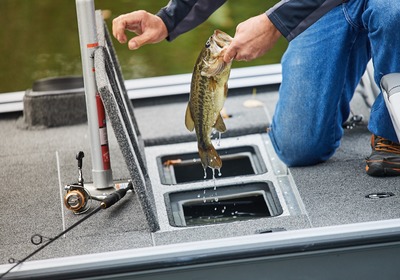 Best ways to stalk bass in shallow water